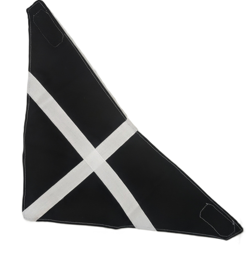 CORNISH FLAG BABY BANDANA BIB
